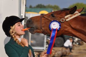 Person and horse eating the same carrot